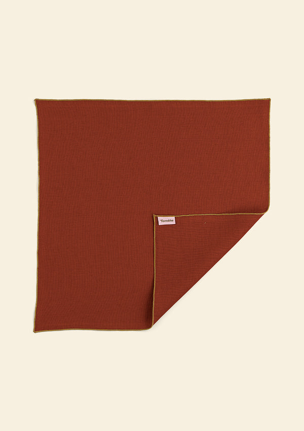 Thick linen napkins (set of 2) Terracotta